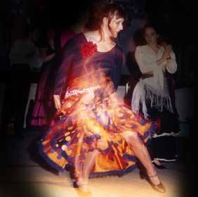 Flamenco in Action...